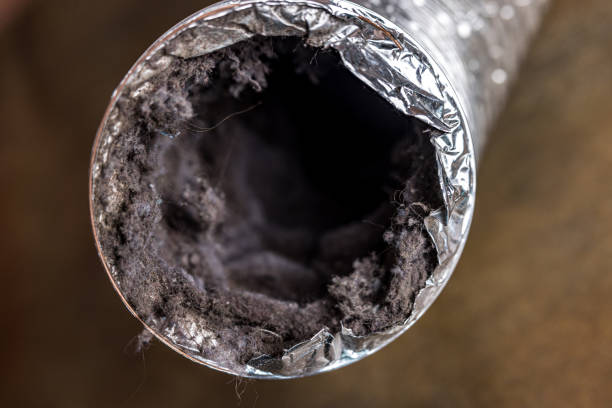 Best Affordable Air Duct Cleaning  in Hamilton, AL