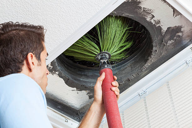 Best Professional Duct Cleaning Services  in Hamilton, AL