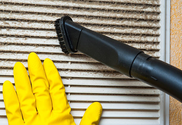 Best Best Air Duct Cleaning Company  in Hamilton, AL
